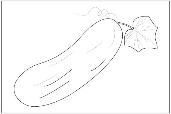 Aesthetic Cucumber Vegetable Line Art Graphics
